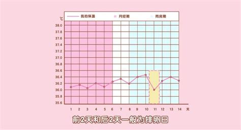 受孕時間|最佳受孕时间